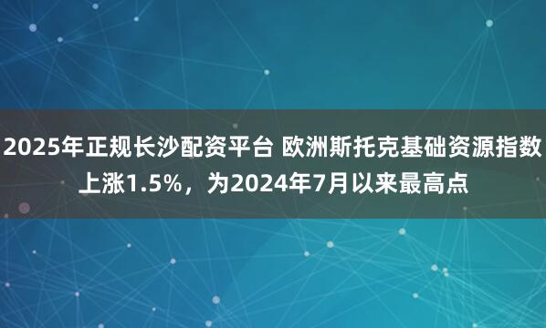 2025年正规长沙配资平台 欧洲斯托克基础资源指数上涨1.5%，为2024年7月以来最高点